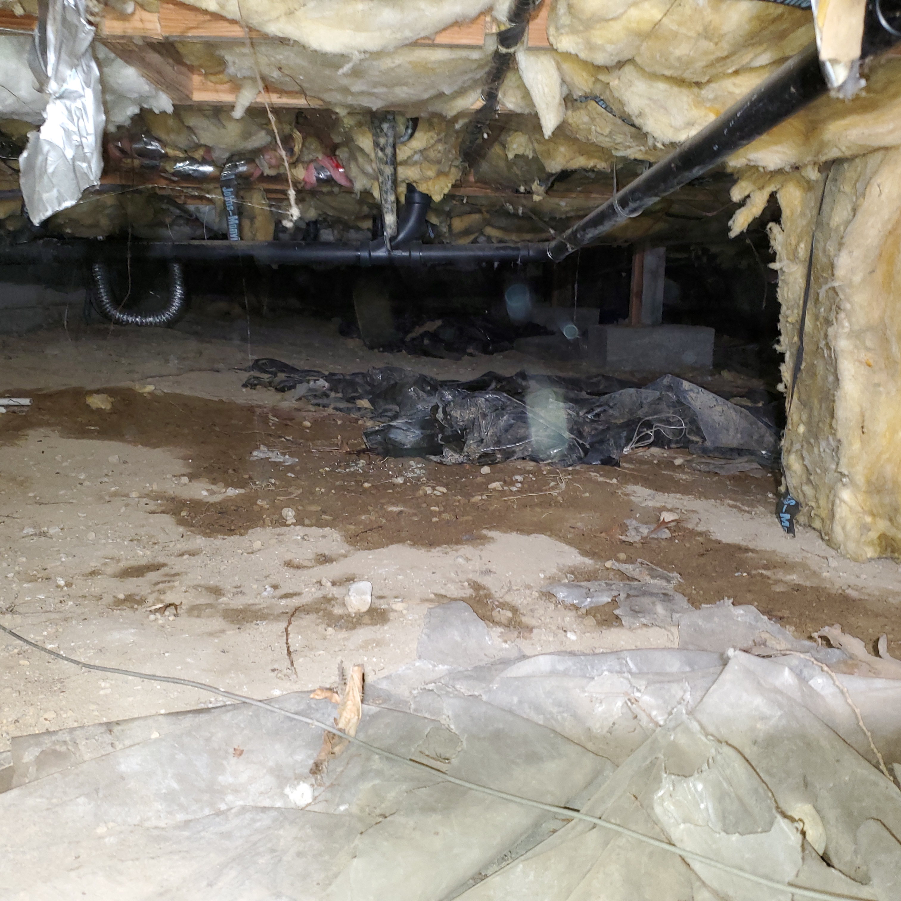 Crawl space with water damage showing wet insulation and standing water requiring remediation